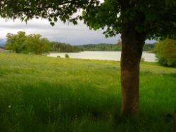 2013-05-19_Iffeldorf_Aiderbichl (70).JPG